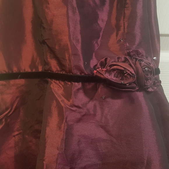 Fancy dress up or special occasion dress - Picture 7 of 9